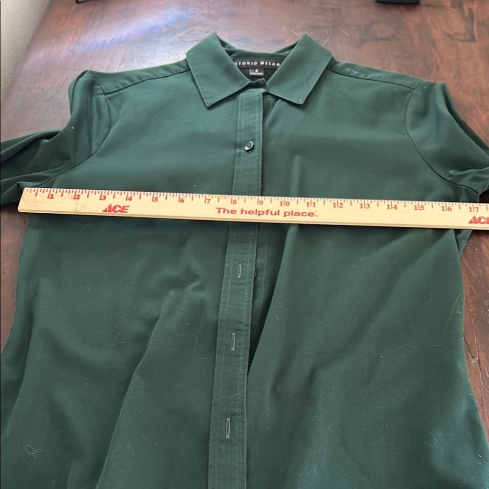Antonio Melani EverGreen Button Down Shirt Sz S